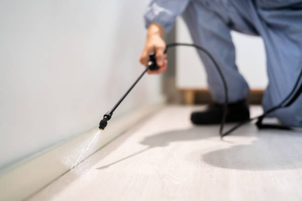 Licensed Rodent Control service in Hemphill, TX - Nex Pest Control