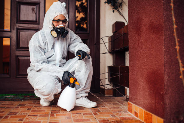Reliable Rodent Control contractor in Hemphill, TX by Nex Pest Control
